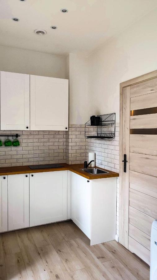 Apartament Polaniczanka ポラニツァ・ズドゥルイ エクステリア 写真